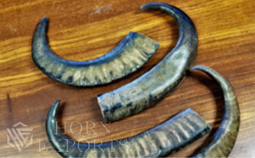 Horn Exports, Nagpur